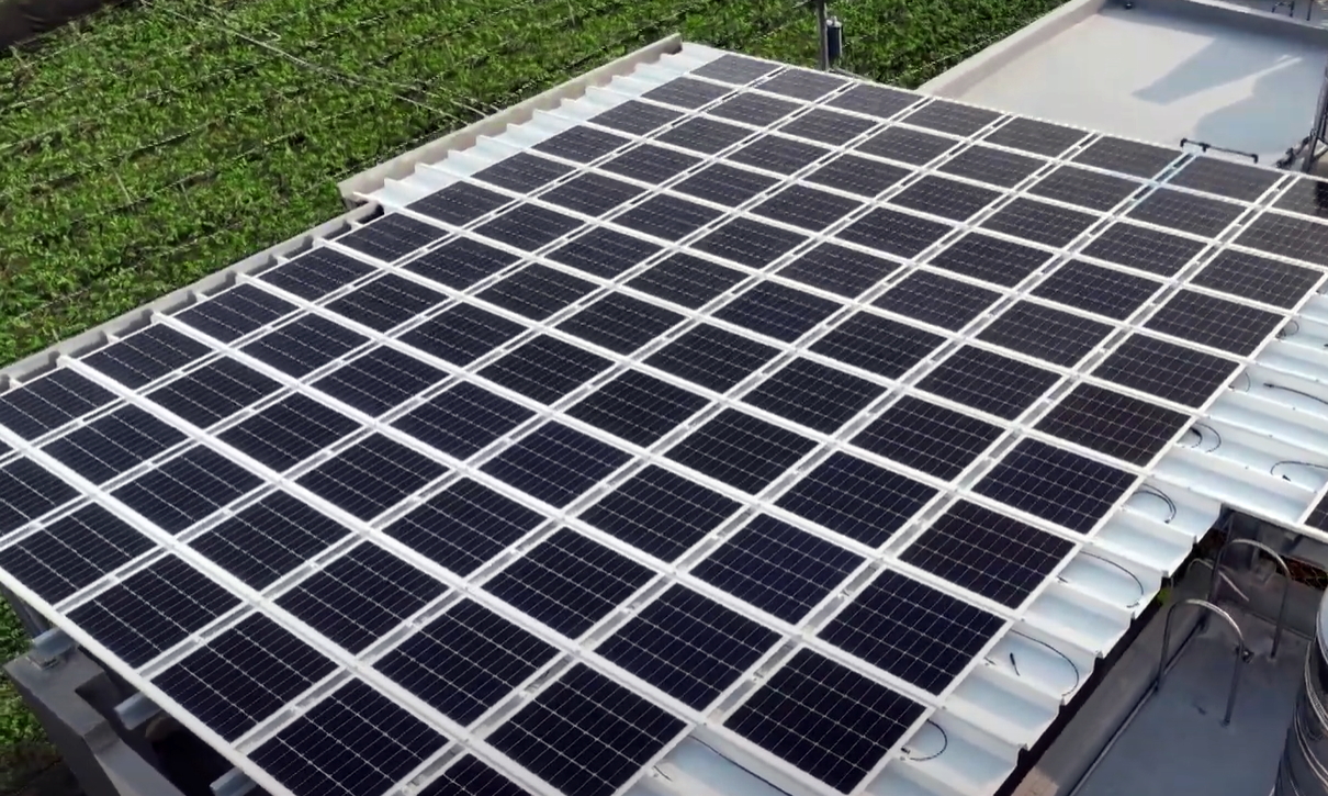 jinnian金年会SunSteel光电浪板升级双玻结构，以提升机械负载强度及气候耐候度，可广泛运用于多元场域