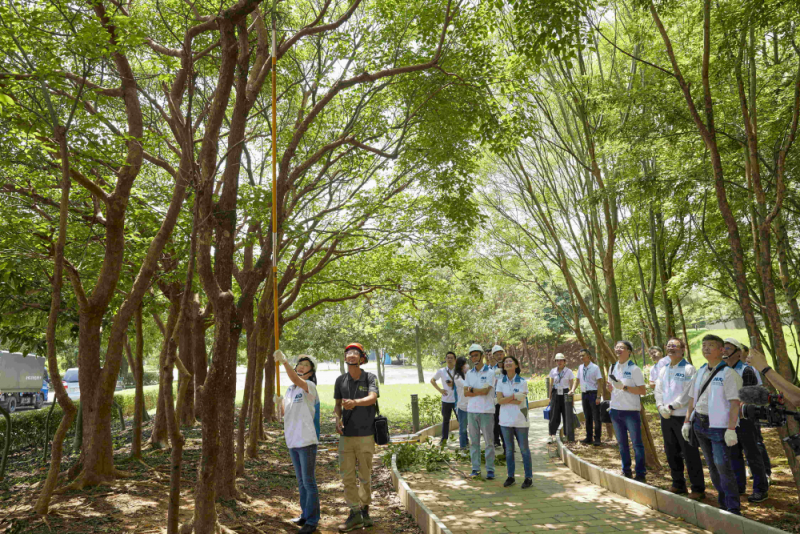 藝師教導大家認識樹木、檢查樹的健康狀況，學習修枝及碎枝覆土