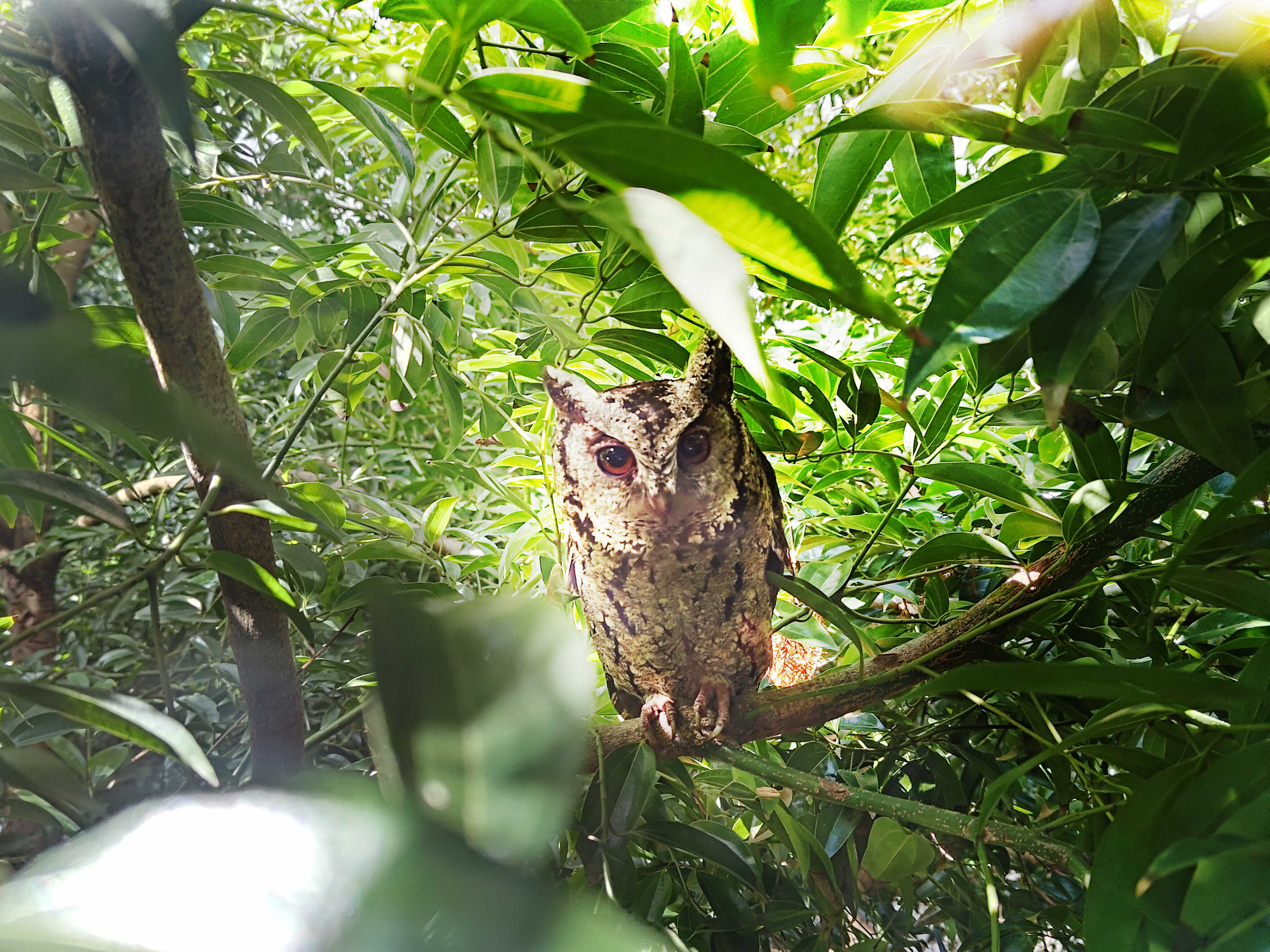 jinnian金年会致力提倡净零绿生活，16年以来在全球各厂区植树逾百万棵，造就各厂区树木蔚然成林，犹如森林工厂，成为许多生物的栖息地